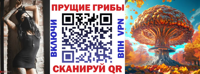 Псилоцибиновые грибы прущие грибы Чаплыгин
